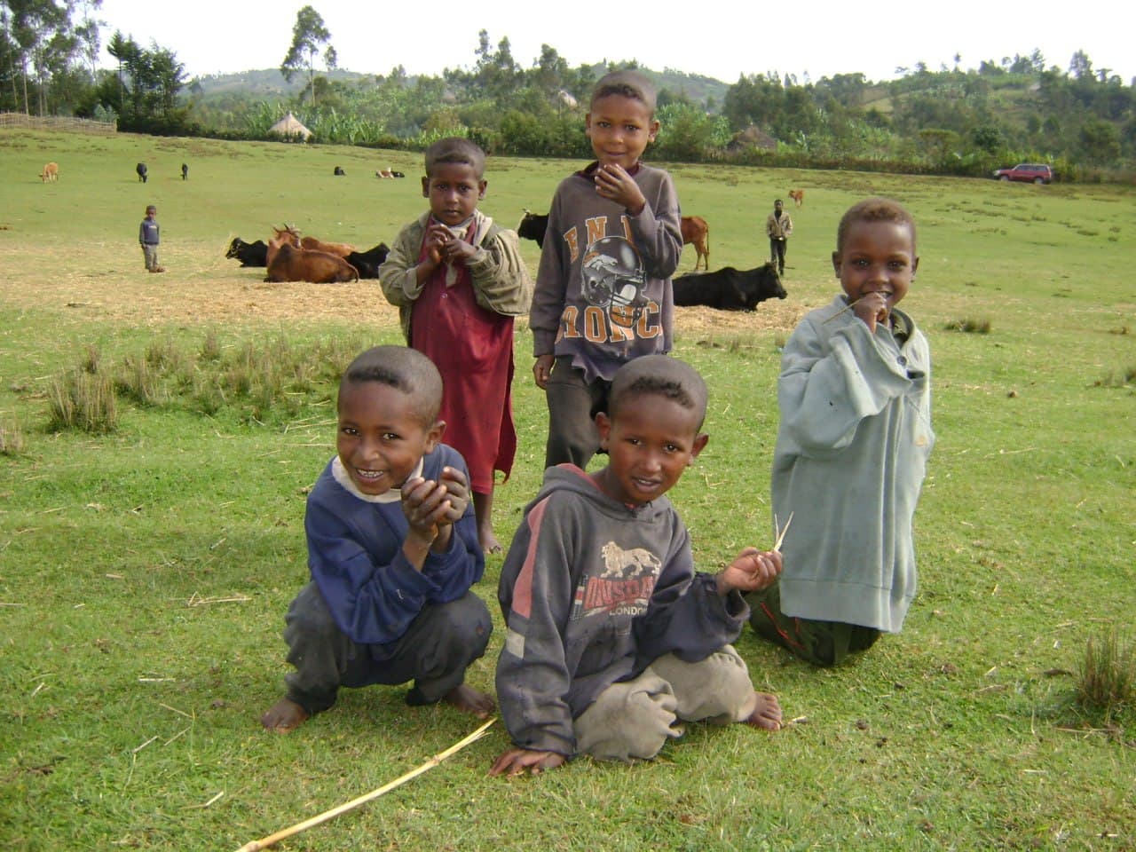 RLDO program photo