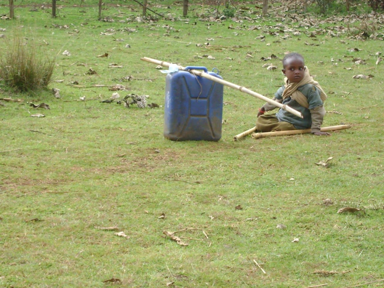 RLDO program photo