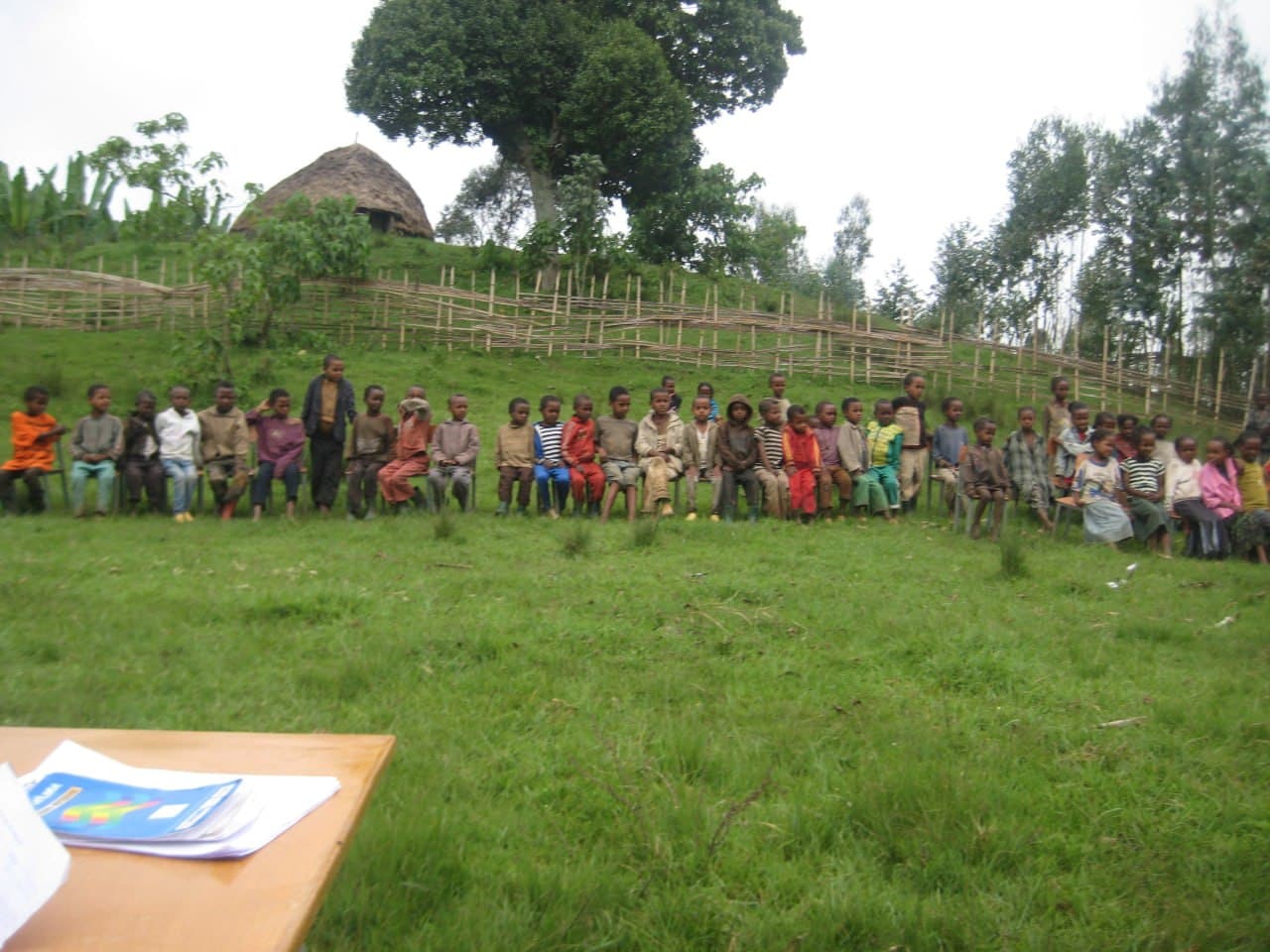 RLDO program photo